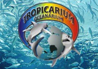 Budapešť - Tropicarium a Oceanarium-20