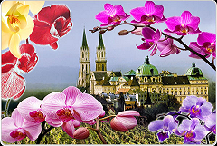 Klosterneuburg - výstava orchideí-5